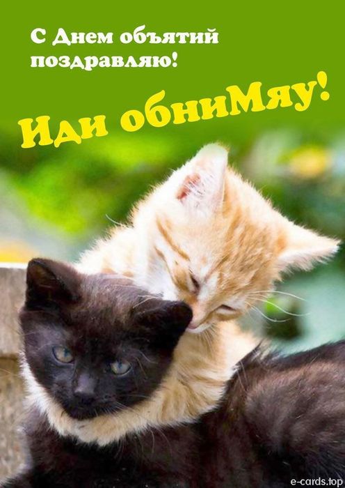 Передержка гостинница для кошек и собак маленьких пород