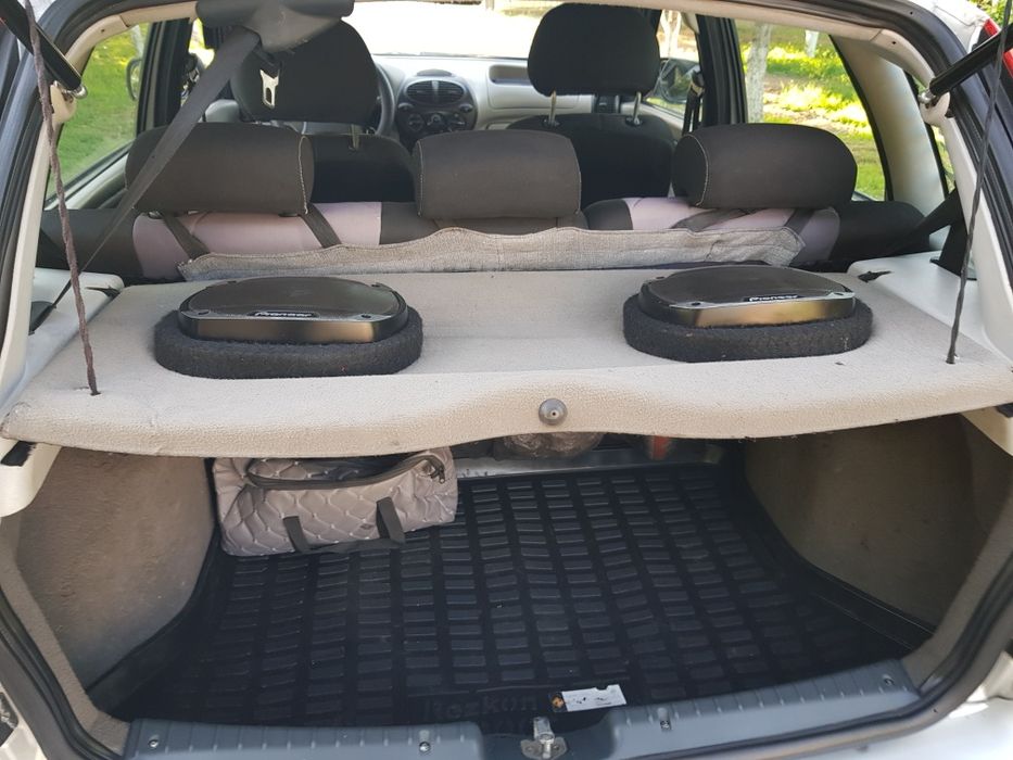 Калина цвет Рислинг.