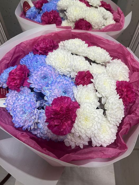 Цветы хризантема