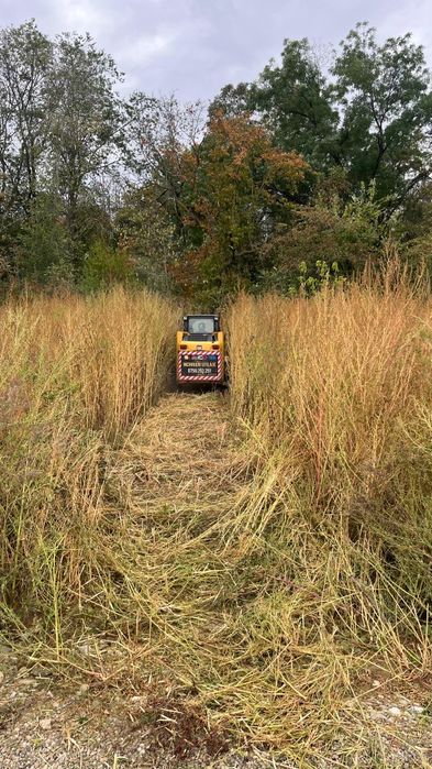 Defrisare curatare terenuri