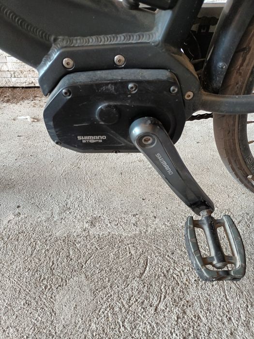 Bicicletă electrică asistată Bosch