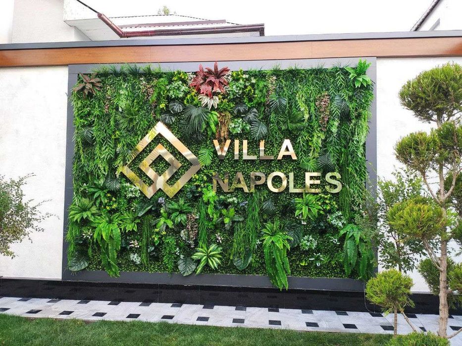 Самшит, искусственное озеленение