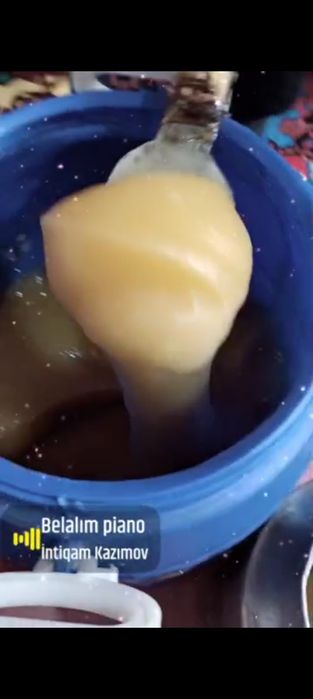 Toza Boysun togʻ asali