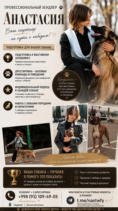 дресировка собак