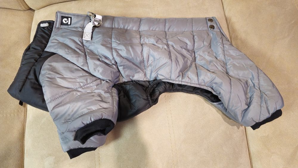 Гащеризон, яке за куче