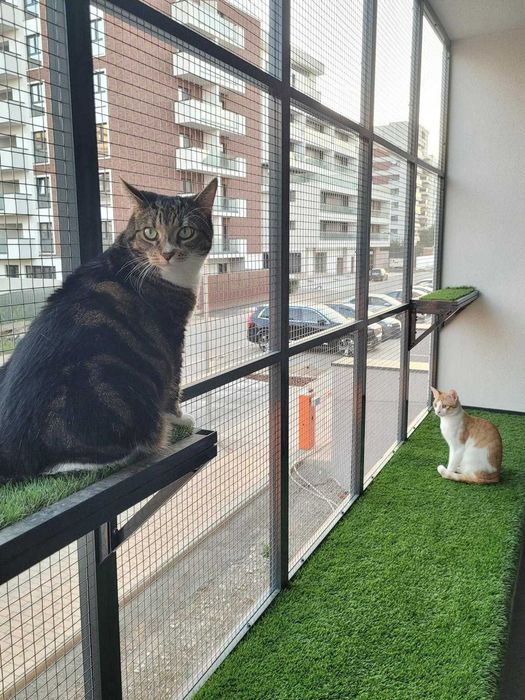 Plase metalice de protectie pentru pisici si insecte/custi/usi/balcon