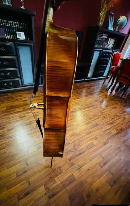 Violoncel Alexandru Ozon