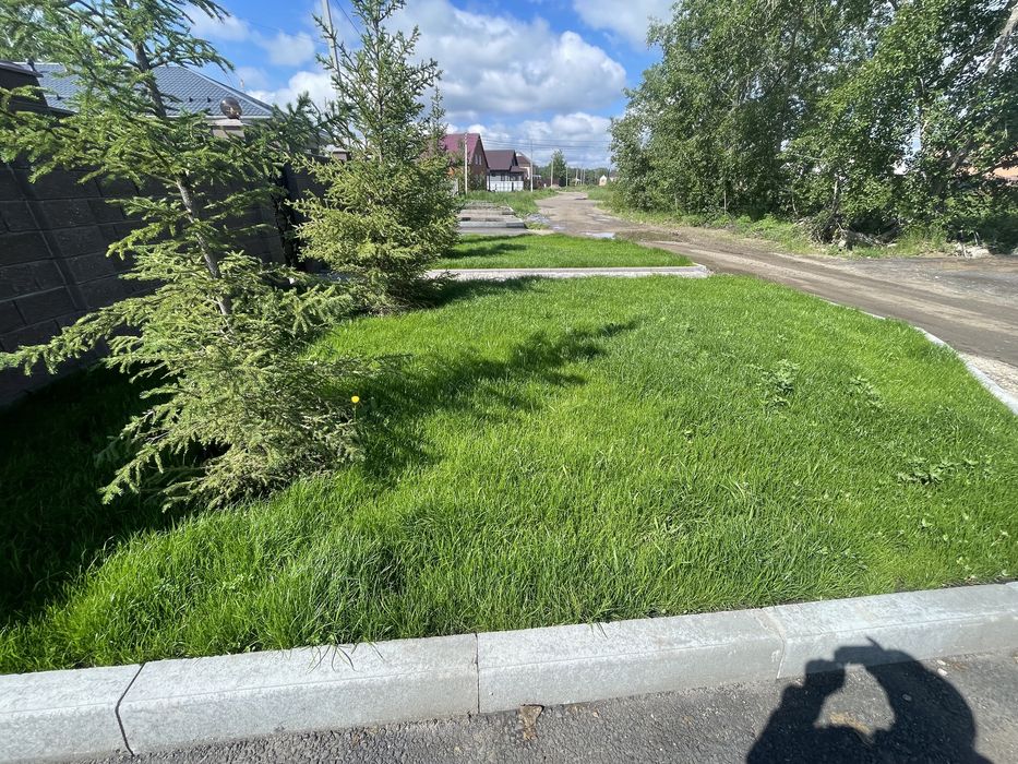 Газон спортивный зимостойкий