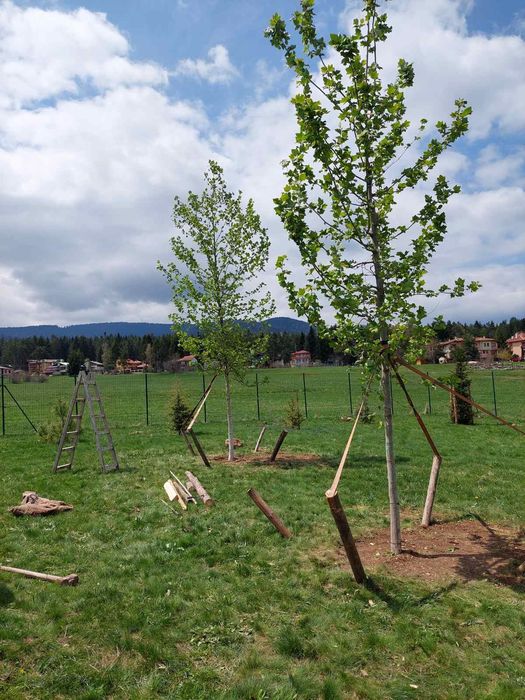 Парцел на Цигов чарк 1250 Квадратни метра