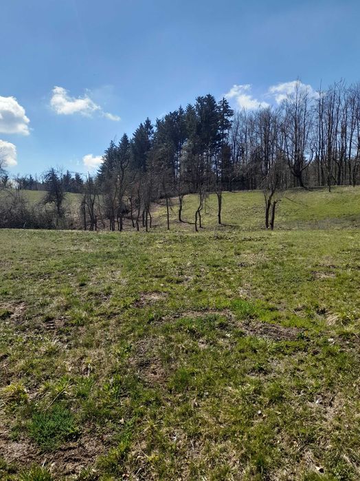 Coliba plus 2 hectare de pamant