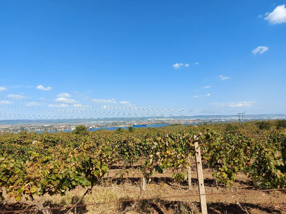 Продава се Парцел в Белослав - 3000 кв.м за 3 €/кв.м - Снимка #5