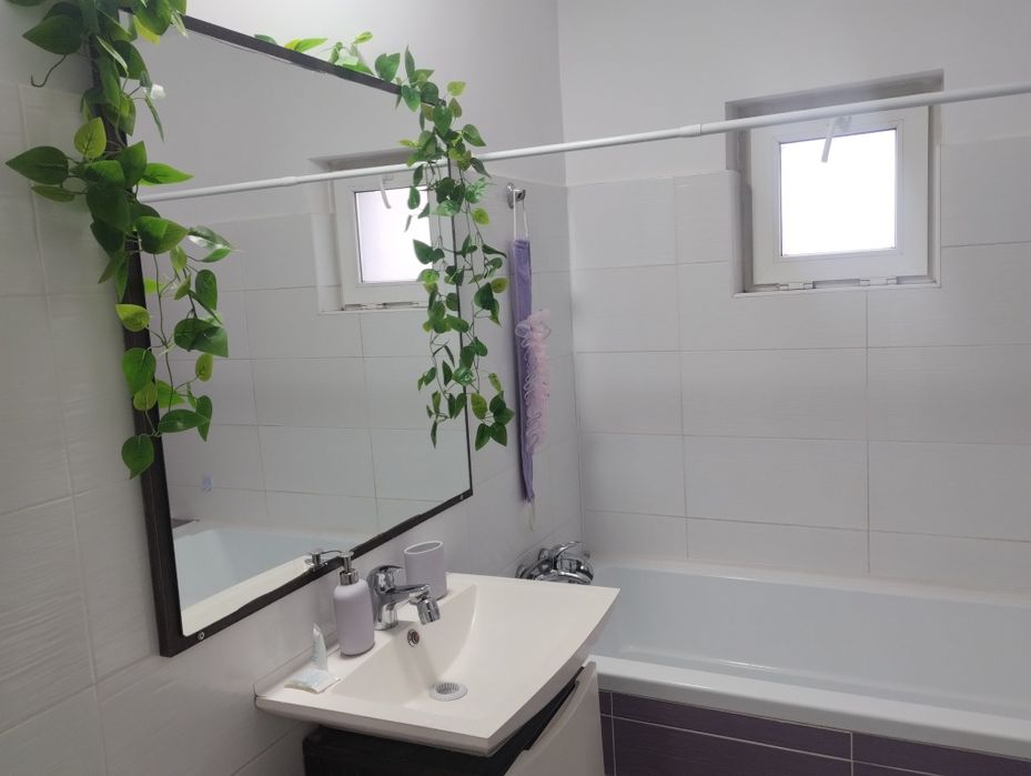 Proprietar inchiriez apartament Sebastian Rahova contr ANAF