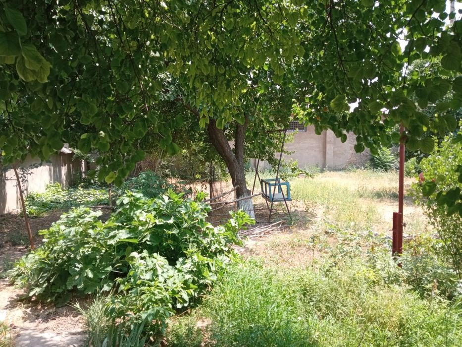 Продам участок в Таш области зангиата района