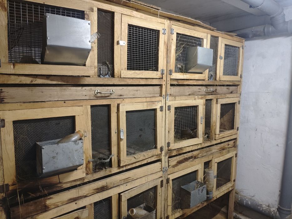 Продам клетки для кроликов