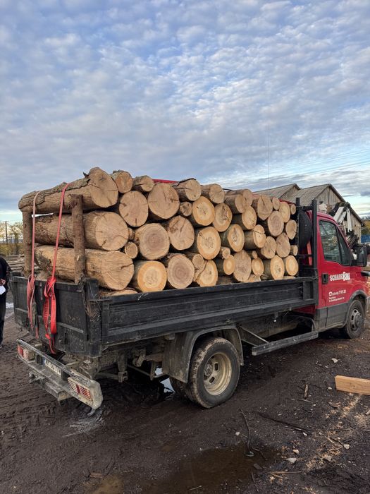 Lemn de foc diferite sortimente