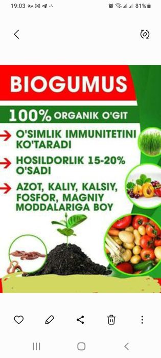 Чувалчанглар аксияда