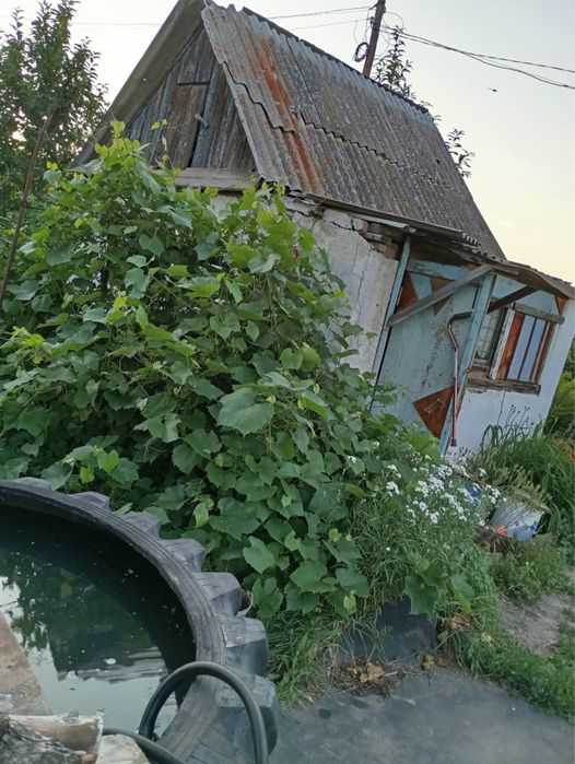 Дача в пос. Новая-Бухтарма