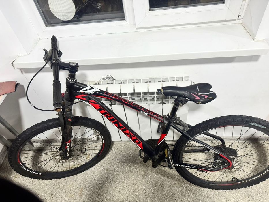 Велик сатылады.  Скорысы стемиді.