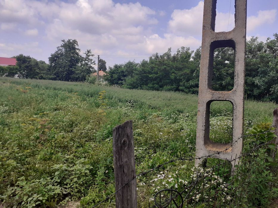 Vand  2 terenuri intravilane-loc de casa loc. Poiana Braesti Botosani