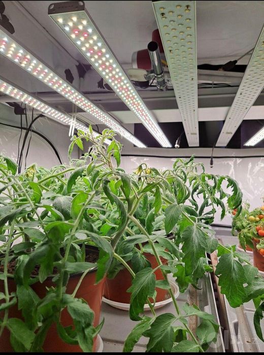 Фитосветильник 320W Для Теплицы И Домашнего Выращивания, ДЛЯ ЛЮБЫХ РАС