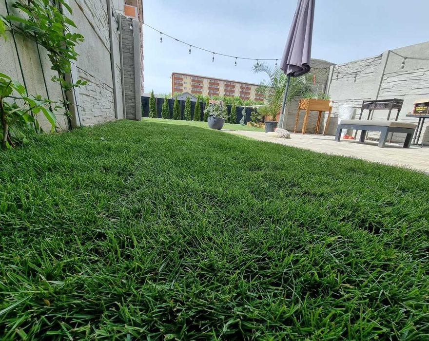 Gazon Rulou Dens și Viguros – Verificare Video și Montaj Rapid