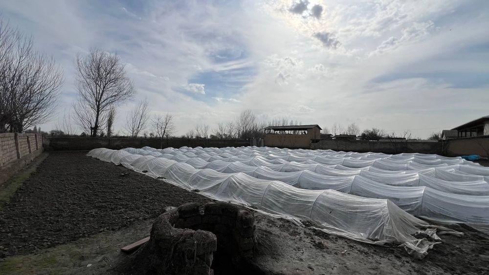 Uy sotiladi 18 sotiq