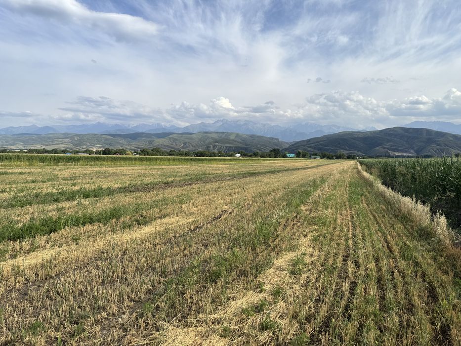 Земельный участок