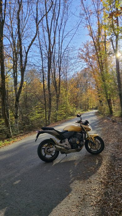 Honda Hornet PC41