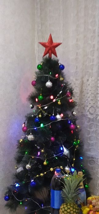 Продам " Елочка "