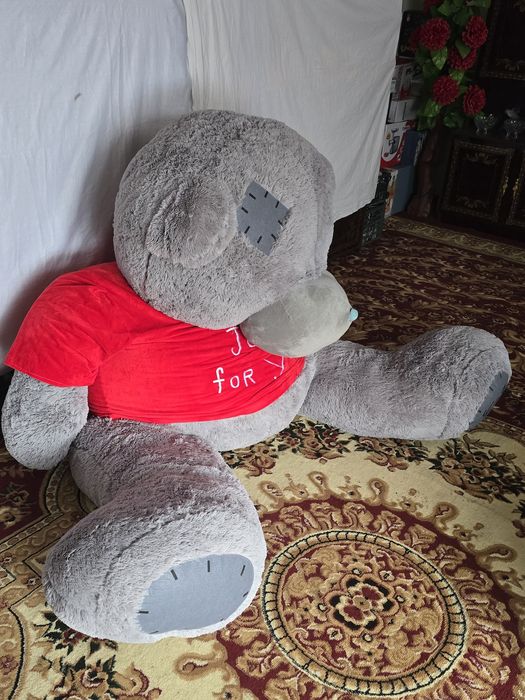 Teddy ayiq  arznon narxda