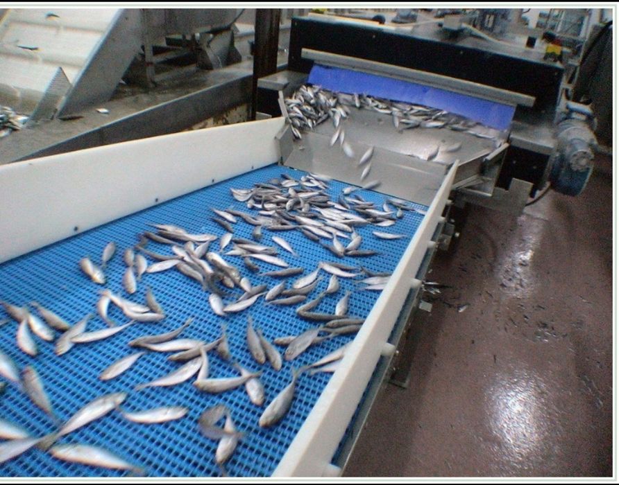 Транспортни Неръждаеми  модулни ленти