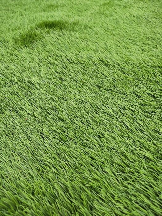 Газон Искусственный