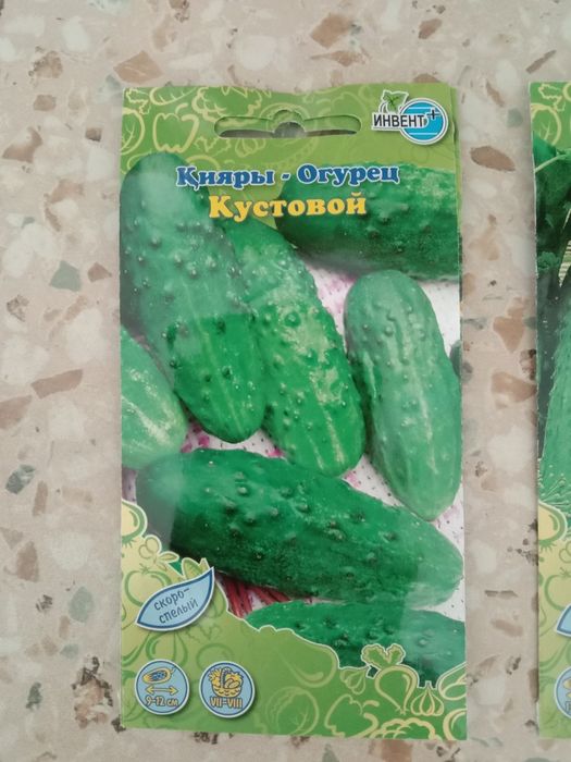 Продам рассаду огурцов и перцев