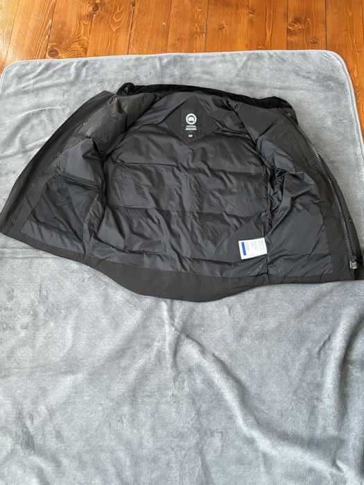 Vesta canada goose