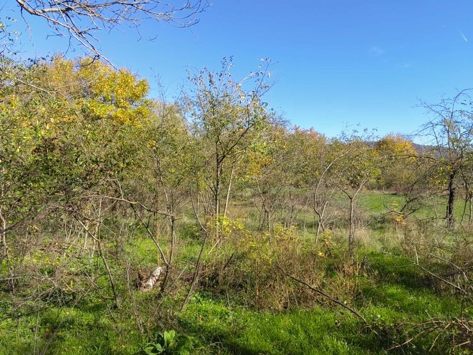 Продава равен парцел в регулация 991 кв.м – с. Могила, обл. Шумен