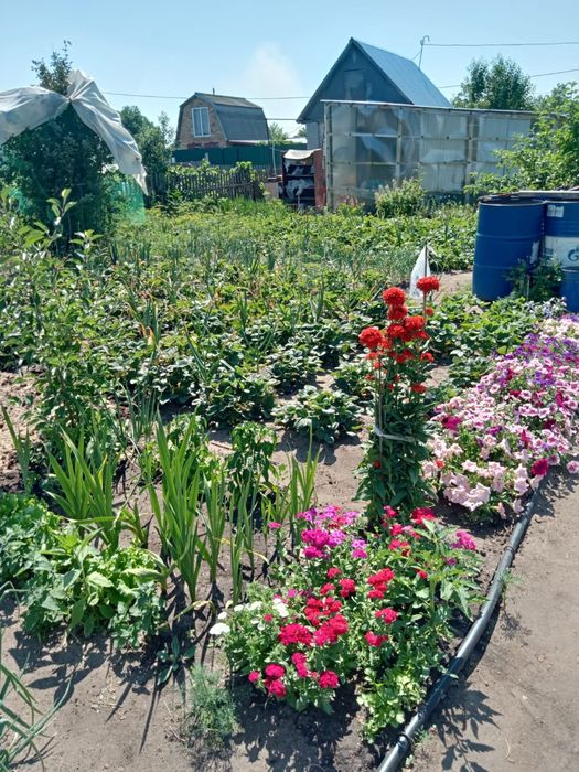 Продам дачу 6,5 соток