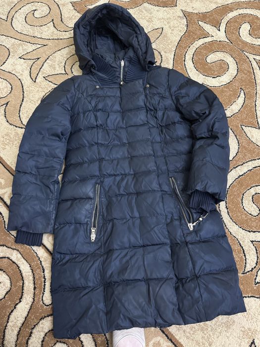 Пиддактар мен кәжікилер. 1000 тгден