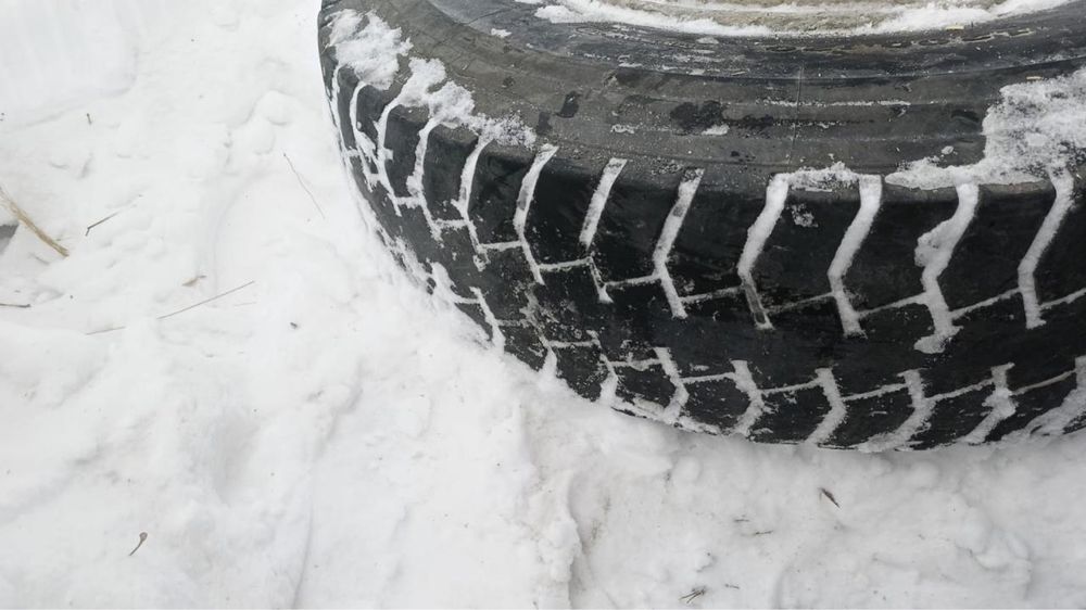 Продам шину на Шахман