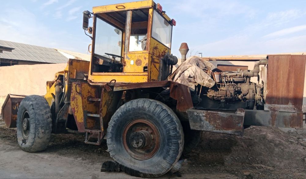 Paguruschik Palak Delta