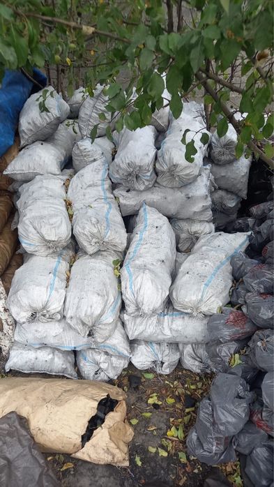 Уголь для шашлыка ангрен орешка