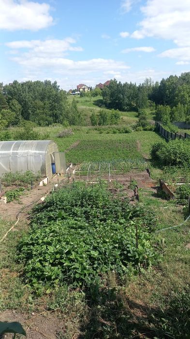 Продам дом город щучинск