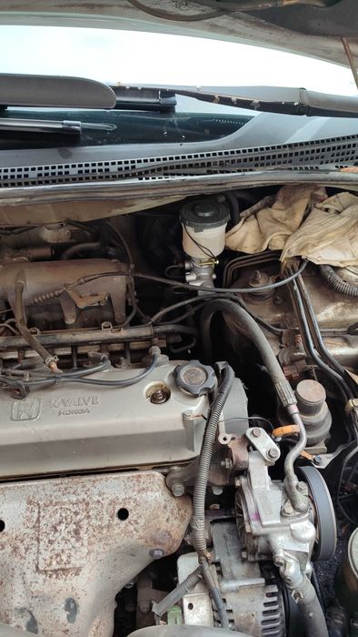 Honda Шатл продам