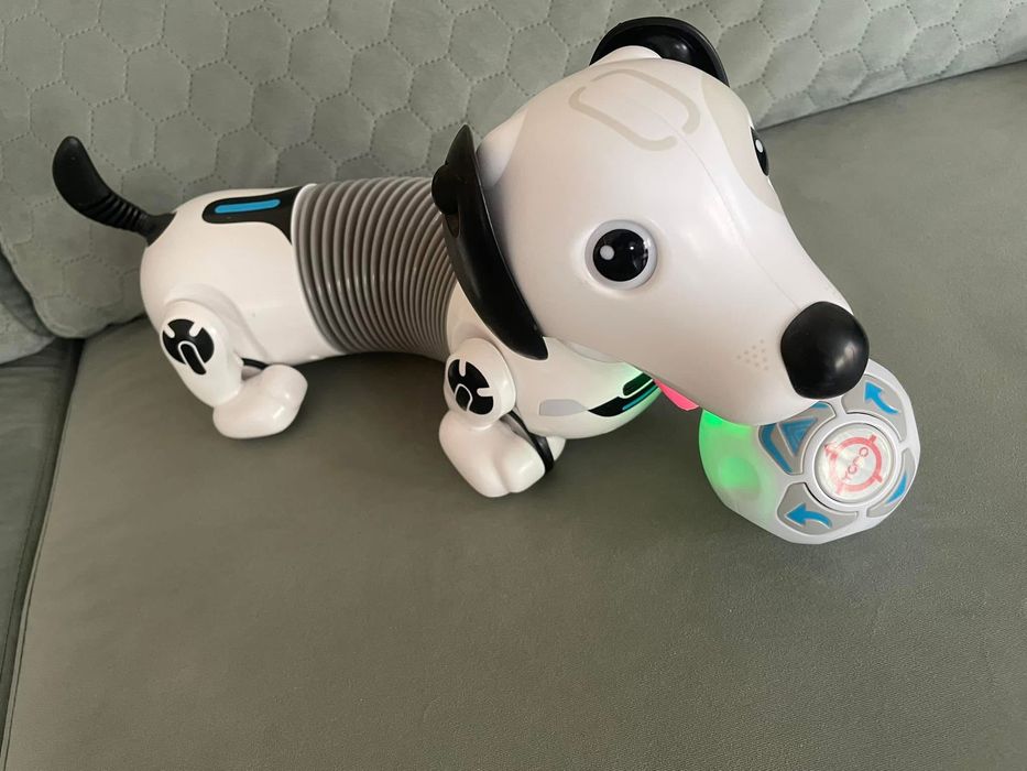 Разтеглив Робо-Дакел