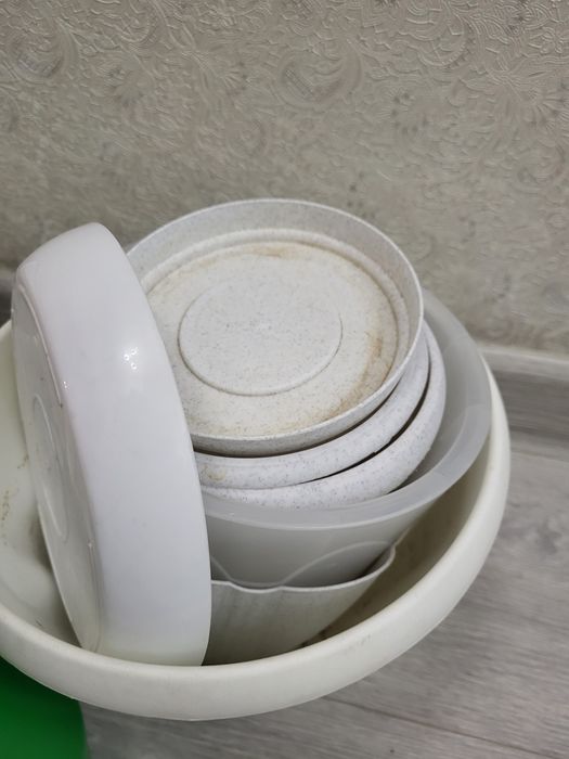 Все  для разведения цветов