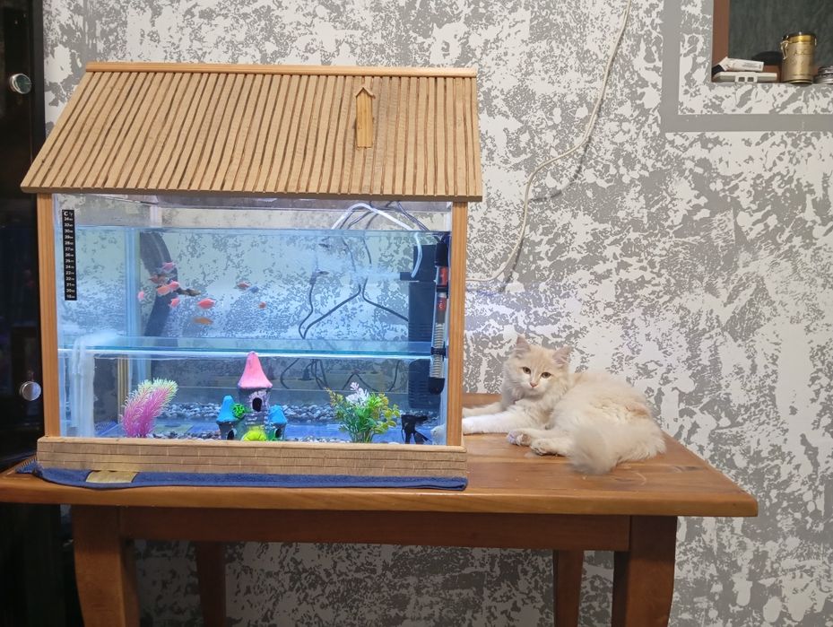 Аквариум 120 л размер узнлиги 60 см энига 40 см буйига 40 см