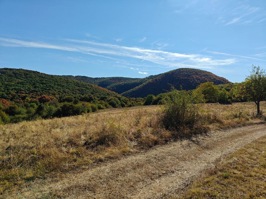 Vând teren extravilan pășune 3,54 ha