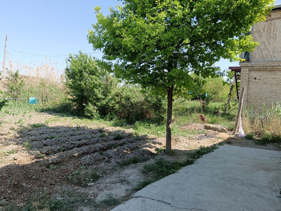 Навбахор дача тезда сотилади биринчи куча оладигон одамга келиштирамиз