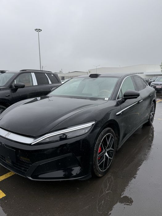 bivaydi han L gibirid