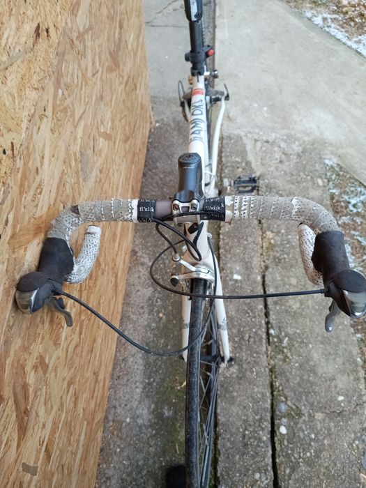 Cursiera specialized dolce