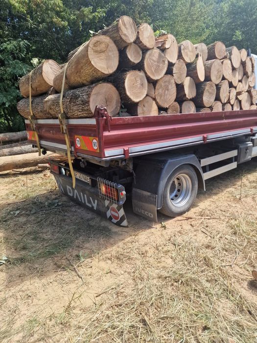 Lemne de foc esenta tare